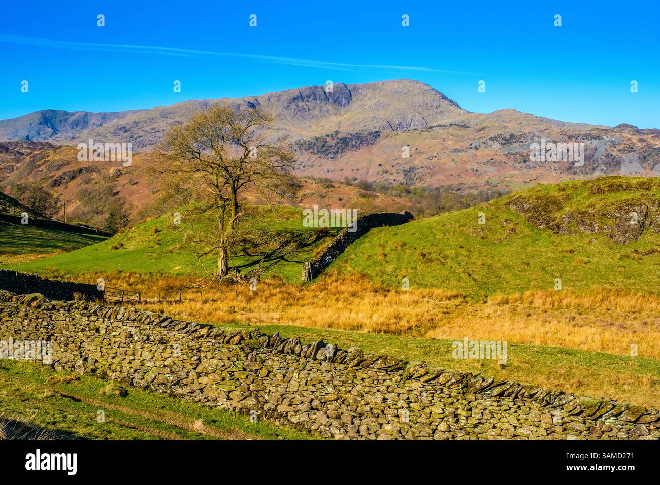 Wetherlam, una delle Coniston Fells, nel Lake District Foto Stock
