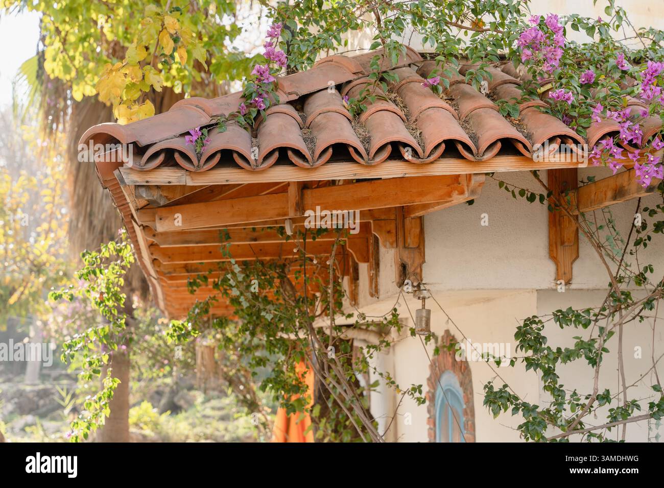 Tetto in cotto di casa rustica con fiori viola e viti che si arrampicano, romantico cottage di campagna Foto Stock