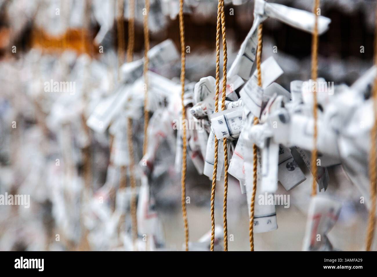 Omikuji, strisce di carta giapponese che raccontano la fortuna appese al Santuario di Yasaka, Kyoto, Kansai, Giappone Foto Stock