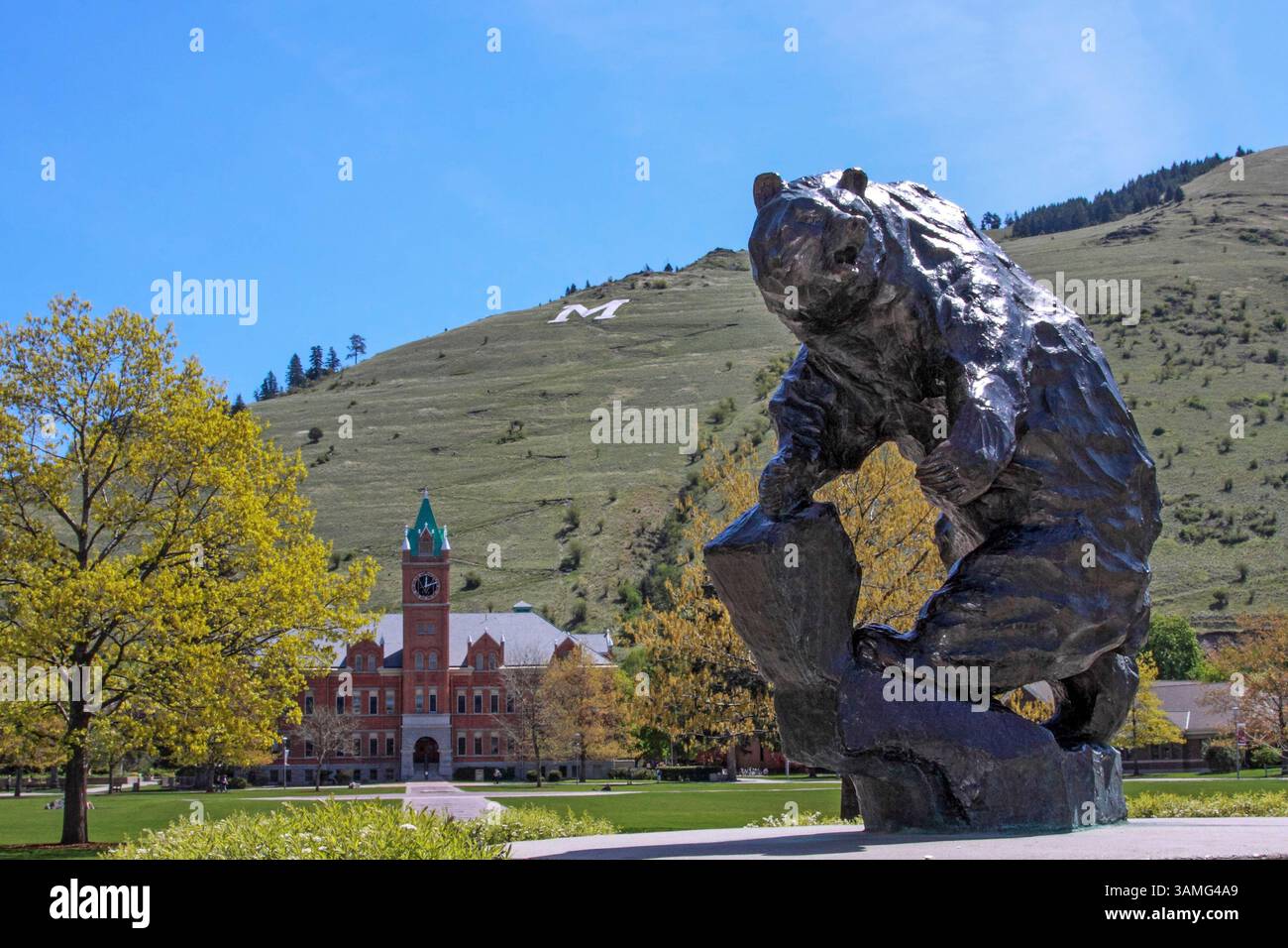 11 maggio 2012 - Missoula, Montana, Stati Uniti - la statua di bronzo Griz, University Hall, The Oval e la "M" sul Monte Sentinel presso il campus principale dell'Università del Montana a Missoula, Montana. (Immagine di credito: © Keith Crowley/ZUMA Wire/ZUMAPRESS.com) Foto Stock