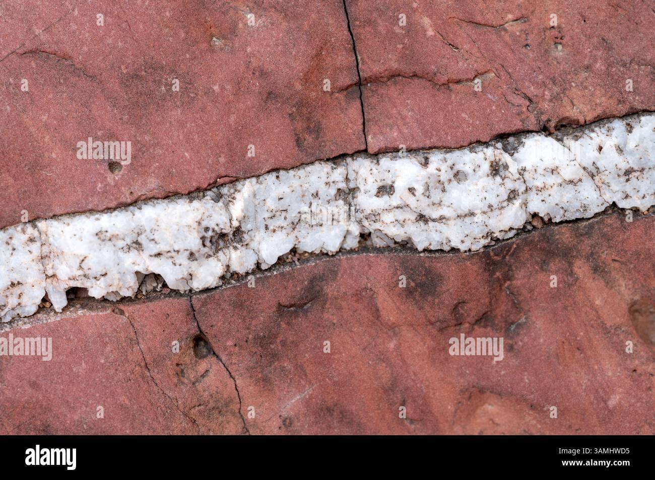 Arenaria rossa con vena bianca di minerale sconosciuto Foto Stock