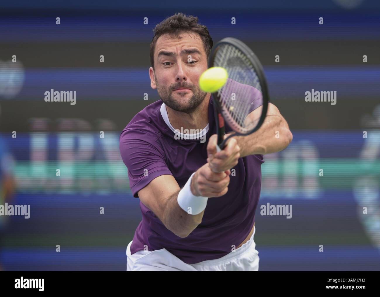 Marin Cilic (CRO), Dubai Duty Free Tennis Championships, Dubai, U.A.E. Tennis - Dubai Tennis Championships 2025 - Dubai - ATP 500 - Dubai Duty Free te Foto Stock