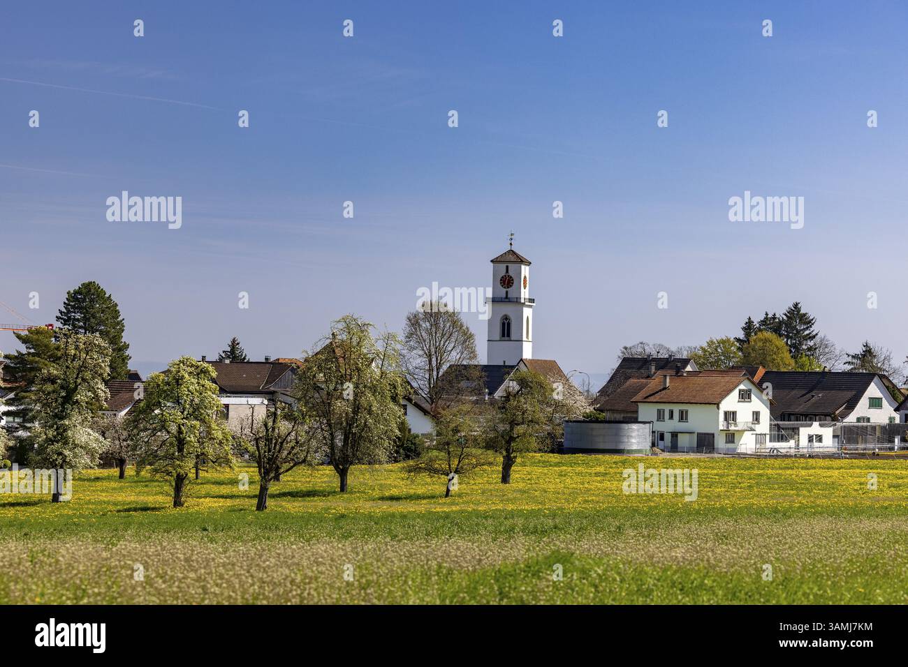 Prati in fiore, vista del villaggio con torre della chiesa sullo sfondo, Guettingen, Thurgau, Svizzera, Europa Foto Stock