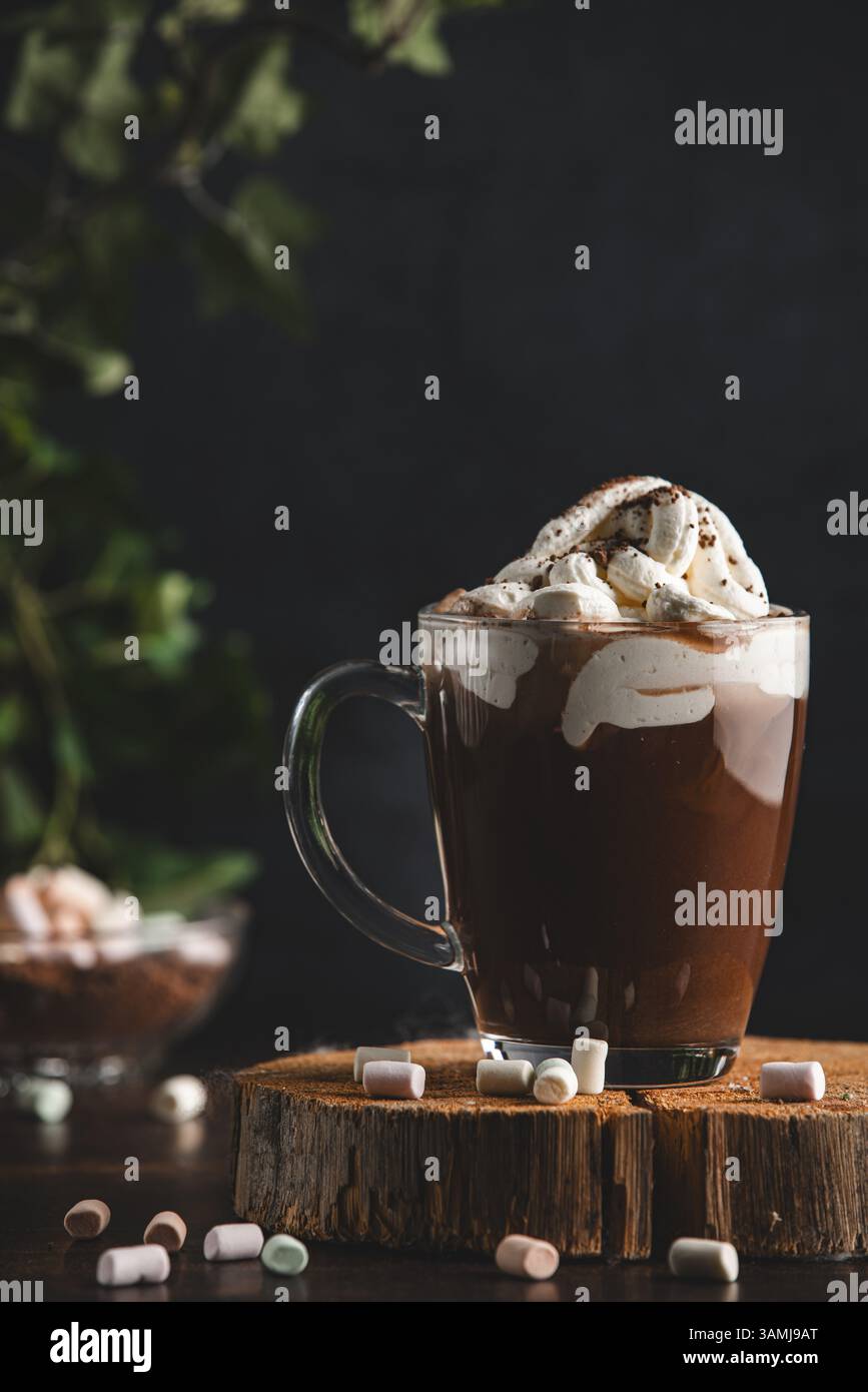 Cioccolata calda con panna montata e cacao in polvere su un asse di legno con marshmallow in un'atmosfera accogliente Foto Stock