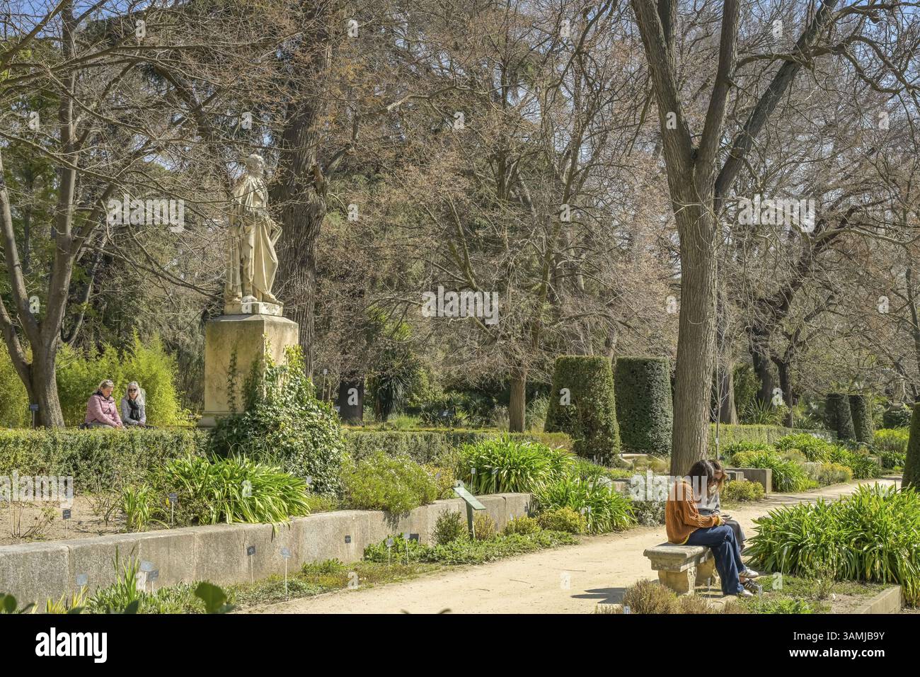 Giardino botanico, Real Jardin Botanico de Madrid, Plaza Murillo, Madrid, Spagna, Europa Foto Stock