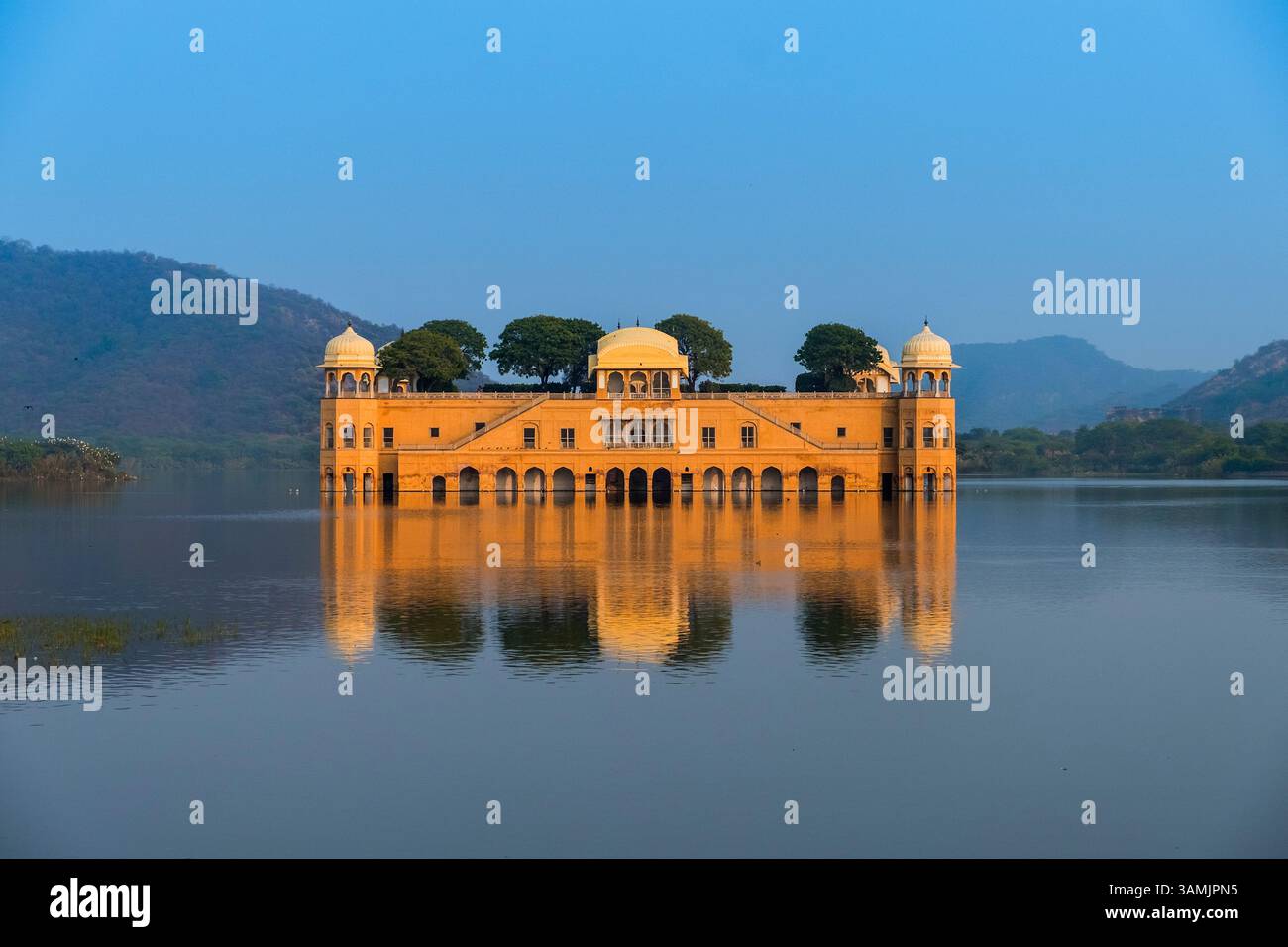 JAL Mahal Water Palace Man Sagar Lake Jaipur Rajasthan India Foto Stock