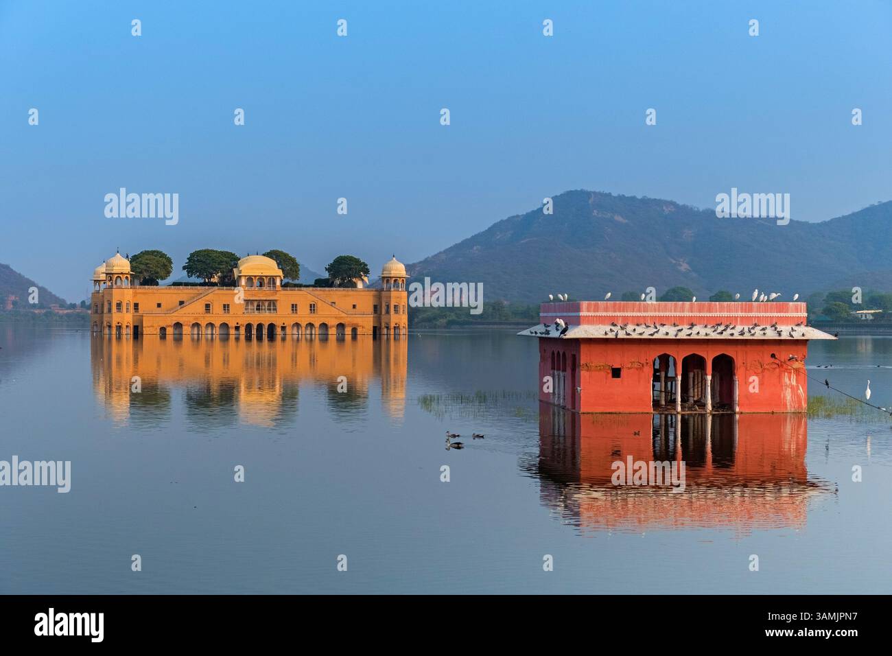 JAL Mahal Water Palace Man Sagar Lake Jaipur Rajasthan India Foto Stock