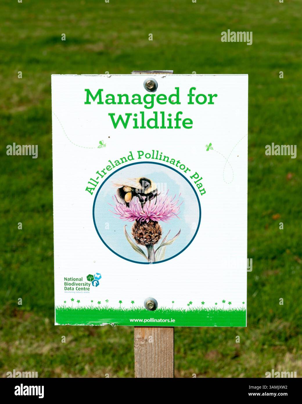 All Ireland Pollinator Plan, Educational, Information, sign board, Bumblebees, fauna selvatica sana, ambiente, Irlanda, Parco Nazionale di Killarney, Europa Foto Stock