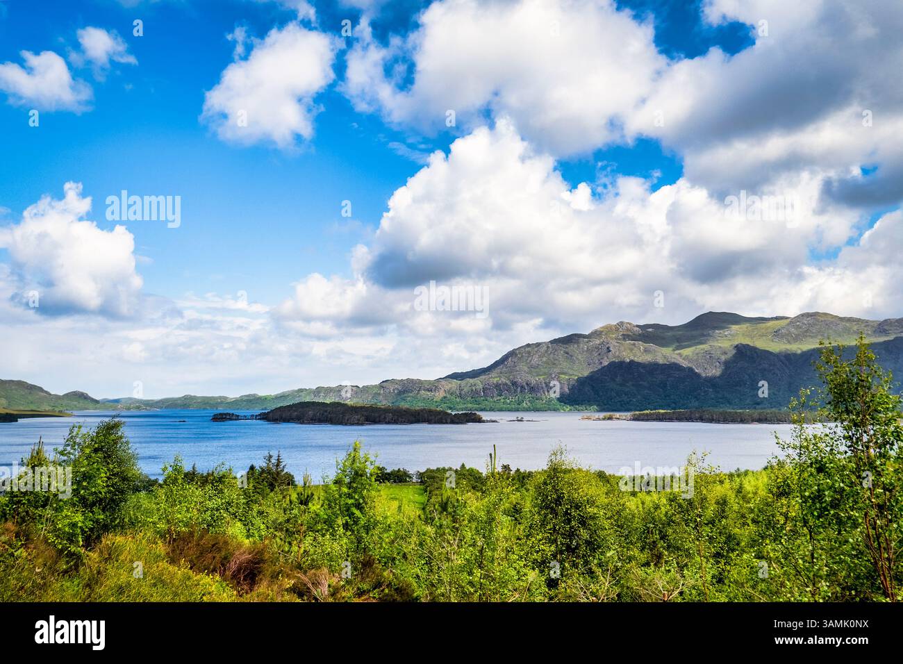 Loch Maree a Ross e Cromarty, regione delle Highland, Scozia, dal punto di osservazione vicino alla testa delle Cascate Vittoria. Le isole visibili sono Eilean Ruairidh Foto Stock