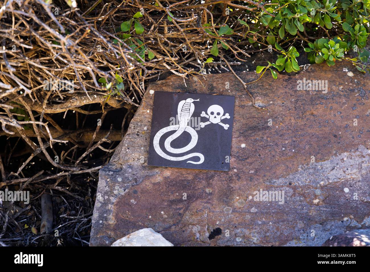 Teschio e ossa incrociate segnale di pericolo di serpenti velenosi nella zona del sentiero a Cape Point, Cape Peninsula, Cape Town, Western Cape, Sud Africa Foto Stock