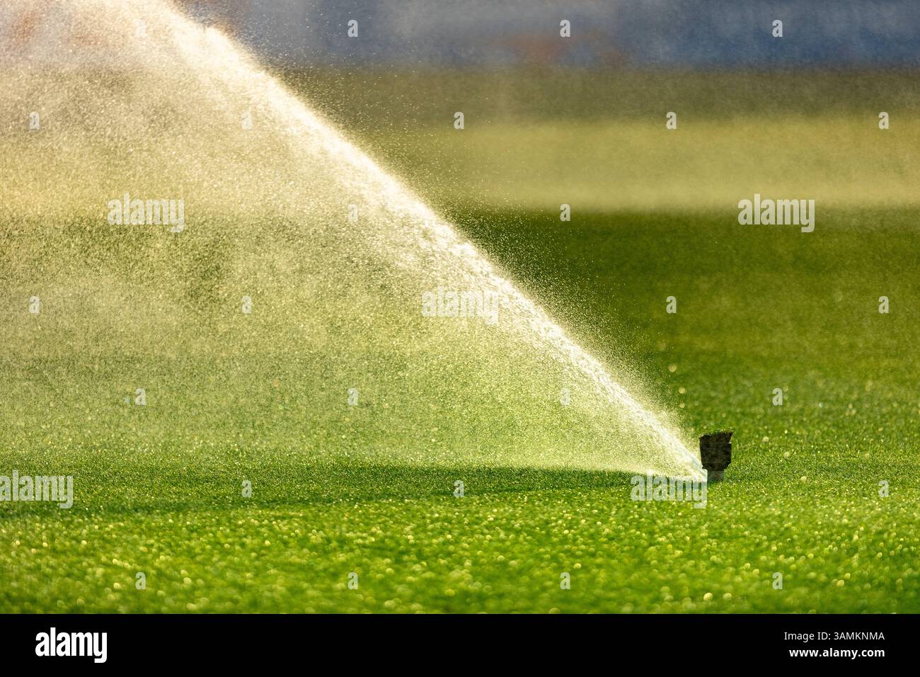 Irrigatore automatico per prati per innaffiare erba verde Foto Stock