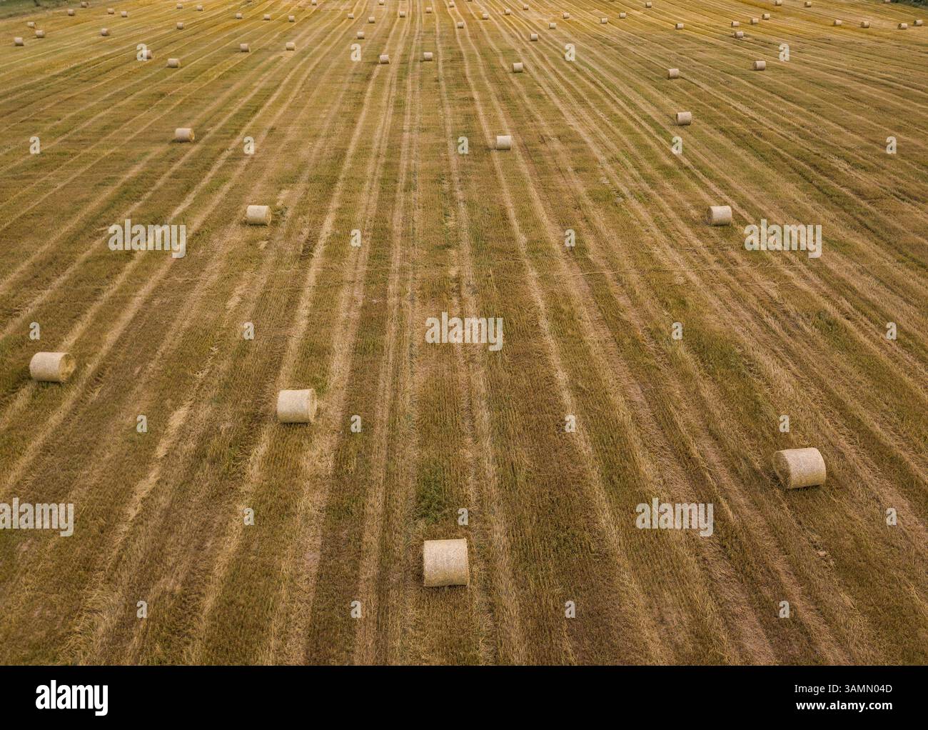 Vista aerea della campagna russa con splendidi motivi geometrici di campi agricoli, Yaroslavskaja Oblast, Russia. Foto Stock