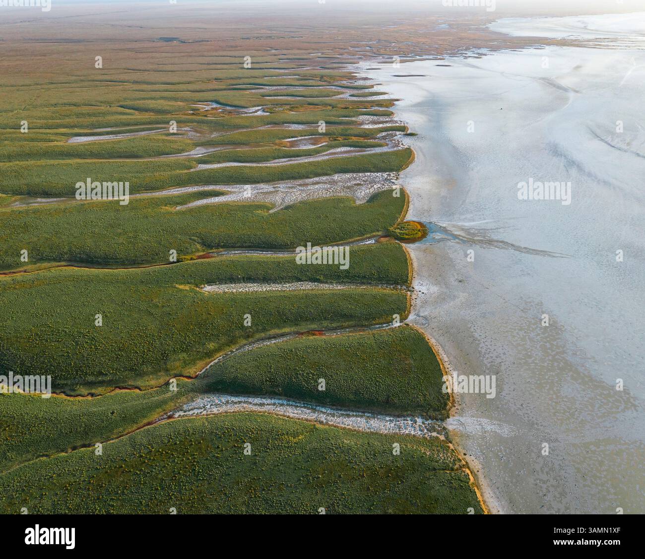 Vista aerea della costa del lago Elton, un grande lago salato con minerali a Vengelovskoe, Oblast' di Volgograd, Russia. Foto Stock