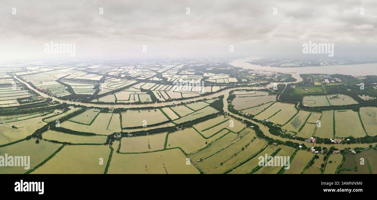 Vista aerea delle risaie di Bangkok, Thailandia. Foto Stock