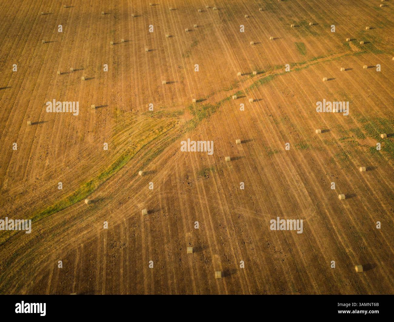 Vista aerea di campi agricoli astratti con balle di fieno e motivi naturali, Pincher Creek, Canada. Foto Stock
