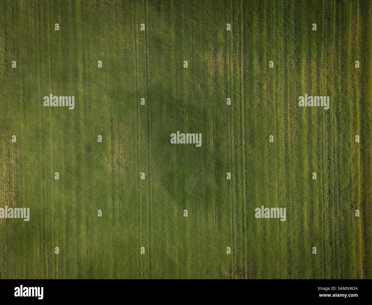 Veduta aerea di campi verdi e erba in un tranquillo paesaggio, Pincher Creek, Canada. Foto Stock