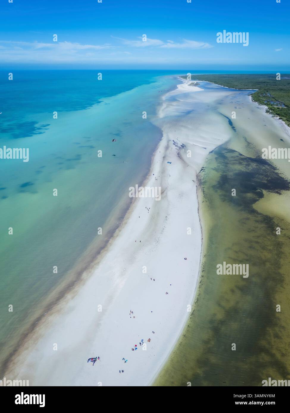 Vista aerea di splendide acque turchesi e spiagge di sabbia incontaminata, Holbox, Quintana Roo, Messico. Foto Stock
