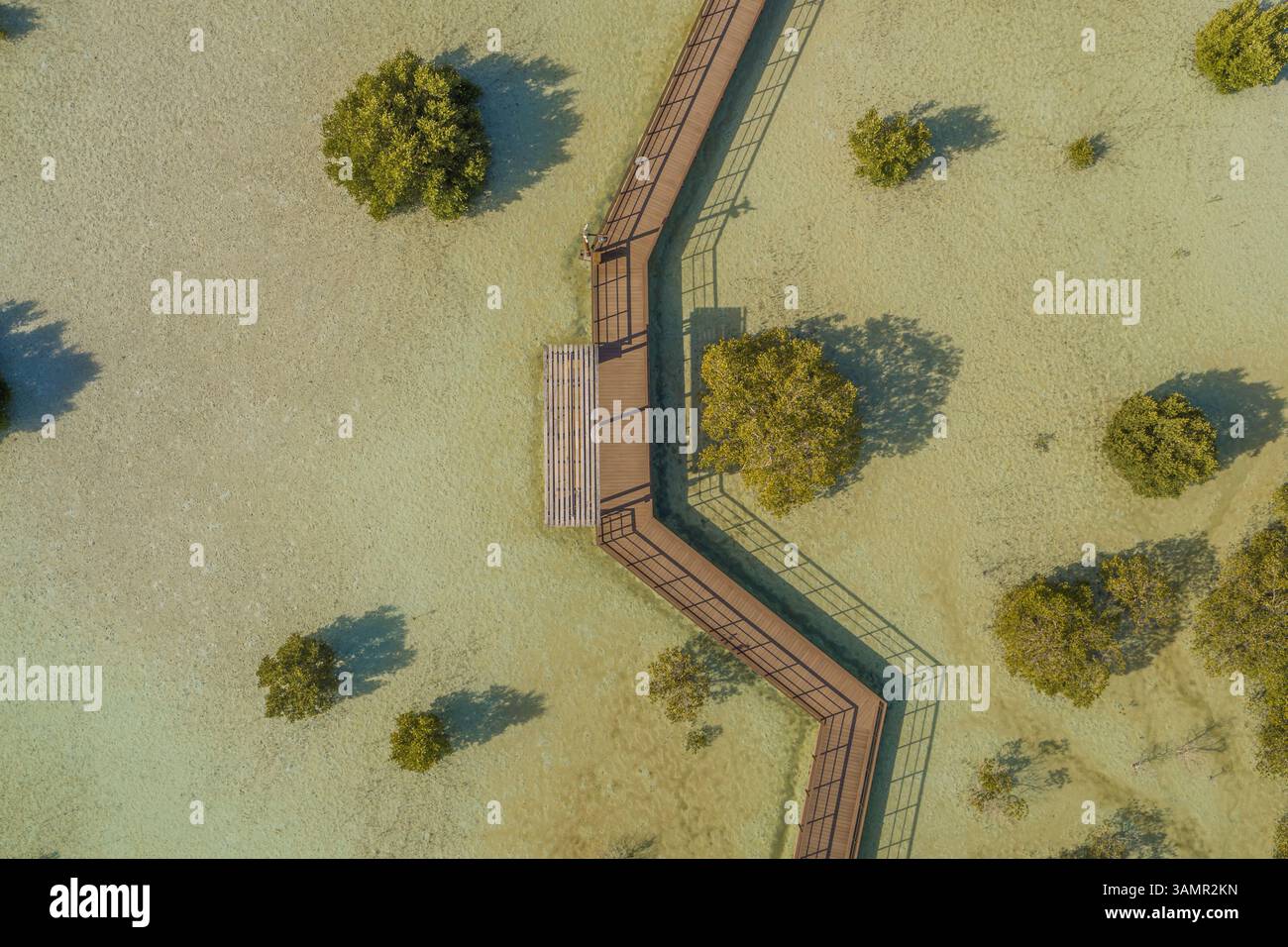 Vista aerea del parco a piedi delle mangrovie di Jubail ad Abu Dhabi, Emirati Arabi Uniti. Foto Stock