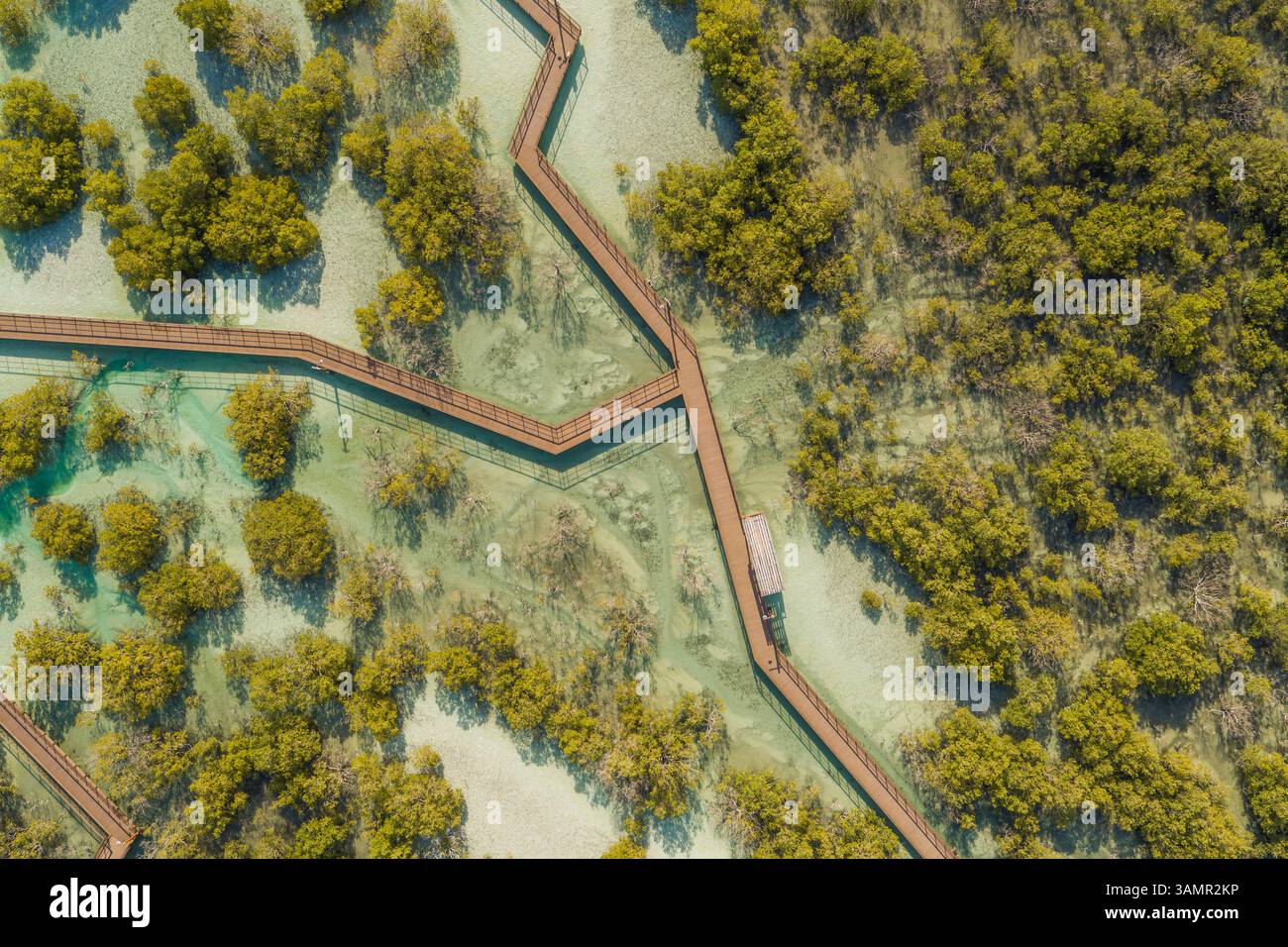 Vista aerea del parco a piedi delle mangrovie di Jubail ad Abu Dhabi, Emirati Arabi Uniti. Foto Stock