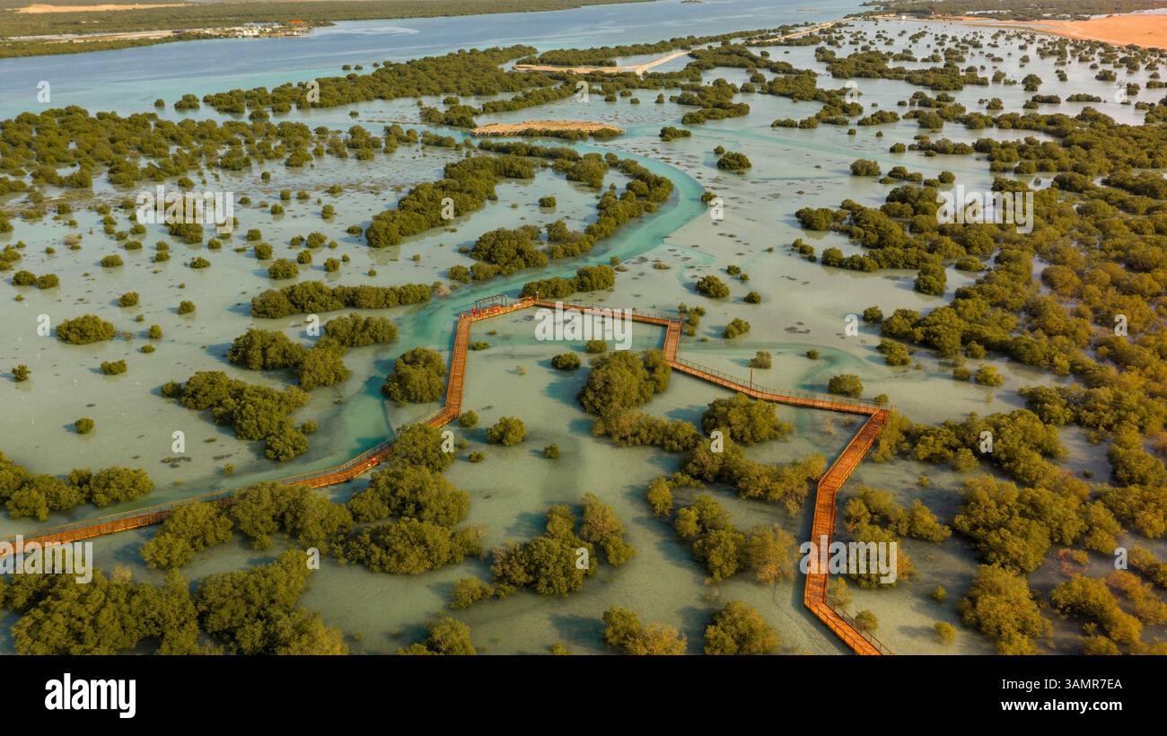 Vista aerea sopra il Parco delle mangrovie di Jubail ad Abu Dhabi, Emirati Arabi Uniti Foto Stock