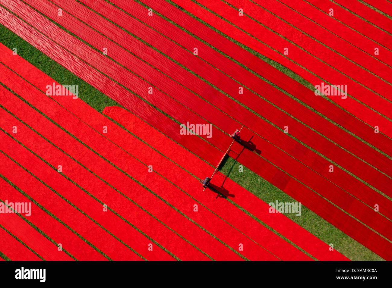 Vista aerea di centinaia di metri di cotone rosso brillante appena tinto si estendono per asciugare al sole a Narsingdi, Bangladesh. Foto Stock