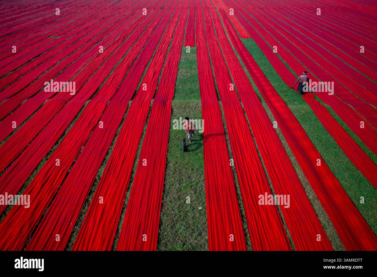 Narsingdi, Bangladesh - 13 dicembre 2021: Veduta aerea di vivaci operai tessili che asciugano tessuti colorati in un pittoresco campo agricolo, Paikar Char, Narsingdi, Dacca, Bangladesh. Foto Stock