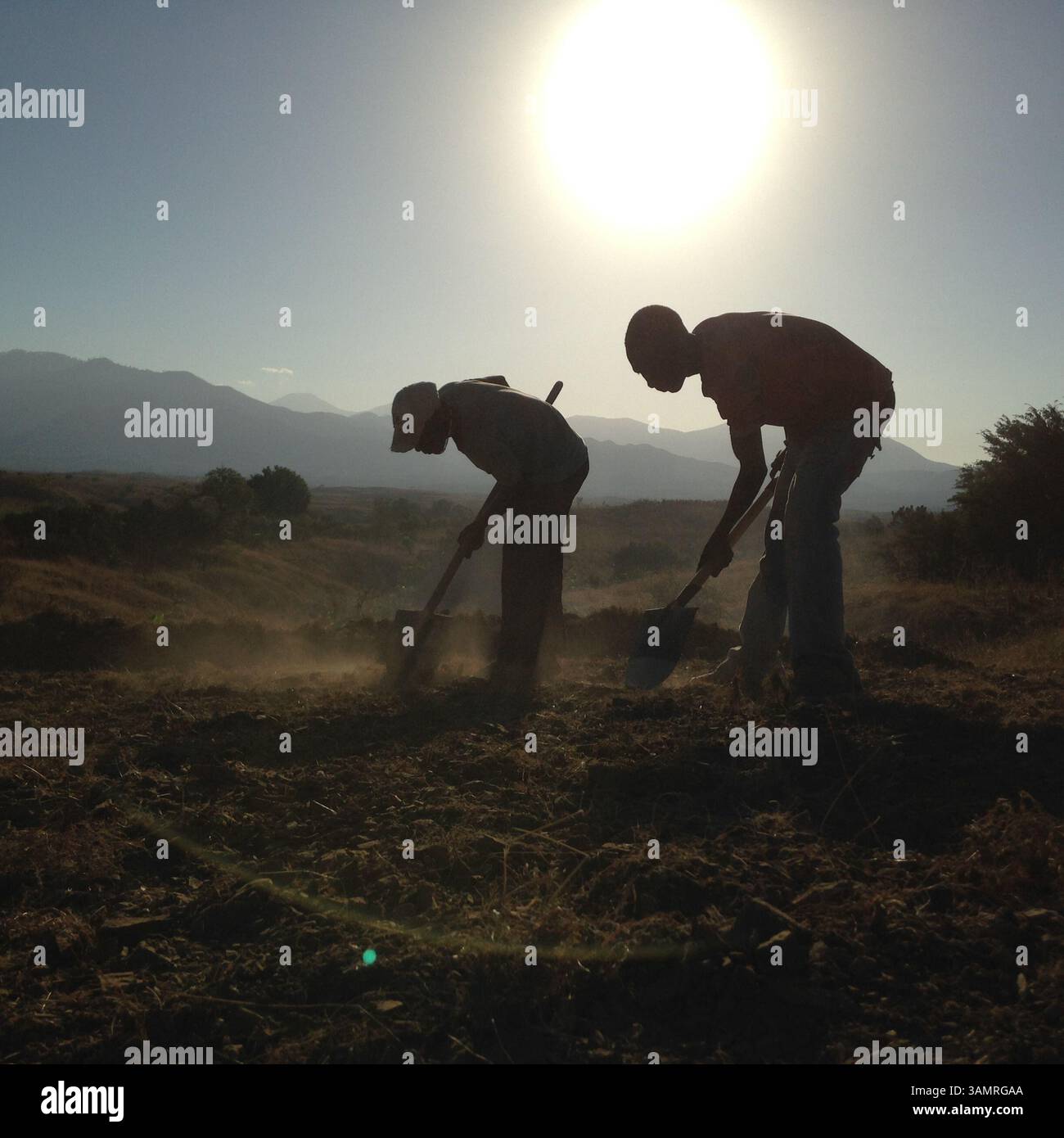 31 dicembre 2013 - Haiti/Repubblica Dominicana - gli agricoltori lavorano sul terreno difficile lungo il confine tra Haiti e Repubblica Dominicana. . Per decenni, gli haitiani hanno cercato di sfuggire alla miseria paralizzante, alla violenza politica e alle turbolenze sociali alimentate dalle dittature successive e dai tentativi falliti di un governo democratico efficace. Il terremoto del 2010 ha solo peggiorato le questioni economiche, mentre Haiti continua a lottare per superare quel disastro. Spinti ai margini della loro nazione e alla disperata ricerca di una vita migliore, gli haitiani attraversano il confine per scoprire di essere sgraditi nella Repubblica Dominicana e nella Repubblica Dominicana Foto Stock