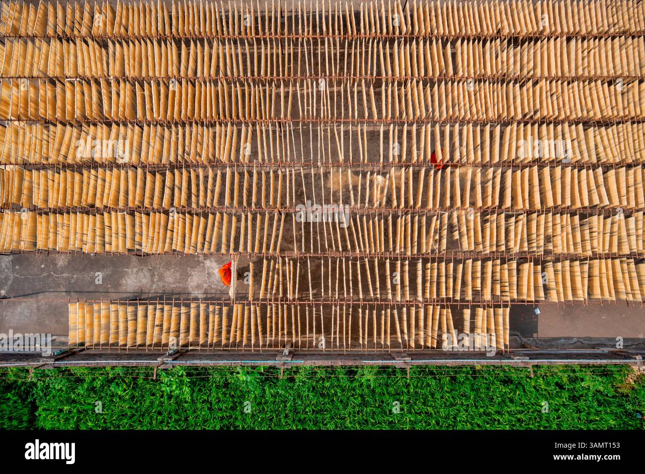 Veduta aerea delle persone che lavorano alla produzione di tessuti naturali tipici lungo la coltivazione, Barga, Rajshahi, Bangladesh. Foto Stock