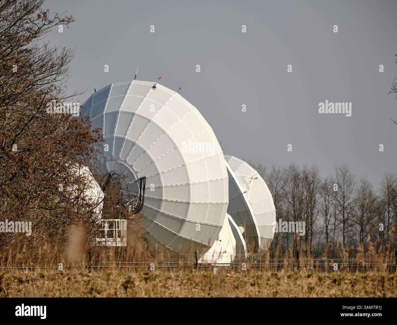 9 marzo 2025 - Vierhuizen-Paesi Bassi: Grandi antenne satellitari militari in un'installazione di difesa olandese a Groningen utilizzate per comunicazioni sicure e. Foto Stock