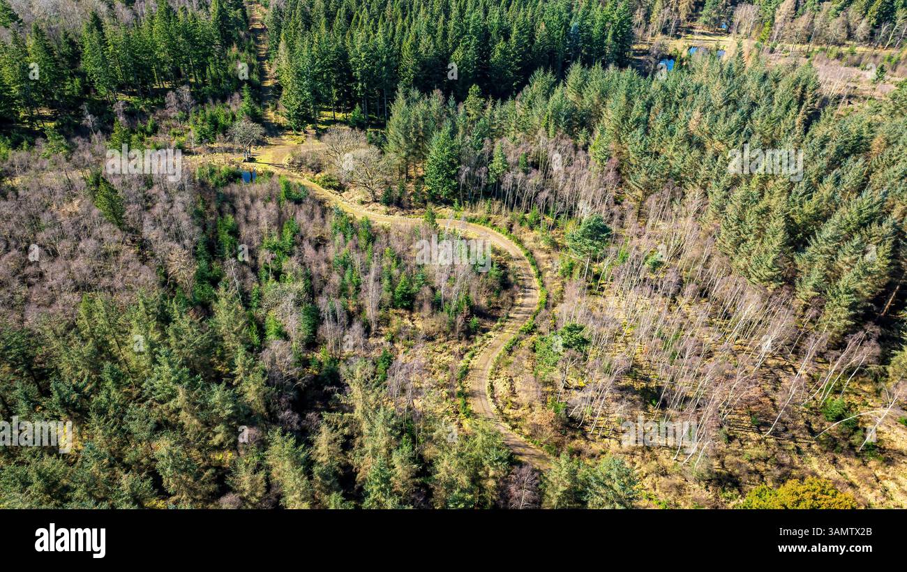 Vista aerea di Saulton Wood, Tranent, Scozia. Foto Stock
