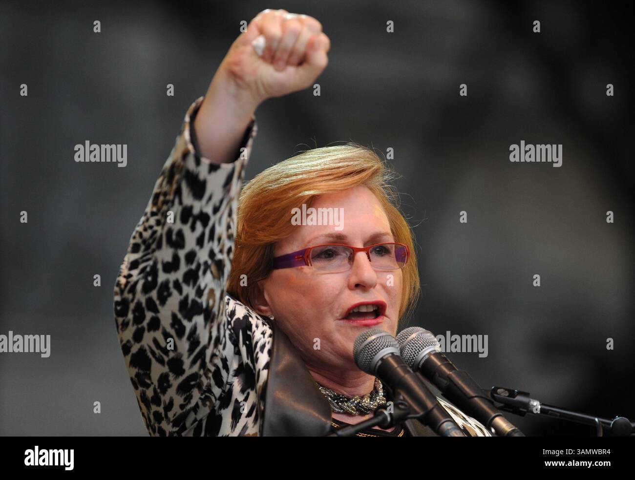 11 dicembre 2013 - città del Capo, Sud Africa - la Premier del Capo Occidentale, HELEN ZILLE, durante la città di città del Capo ha ospitato un concerto al Cape Town Stadium da 45000 posti chiamato "Nelson Mandela - Una vita celebrata". Nelson Mandela fu il primo presidente democraticamente eletto del Sudafrica. (Immagine di credito: © Roger Sedres/Images SA/ZUMAPRESS.com) Foto Stock