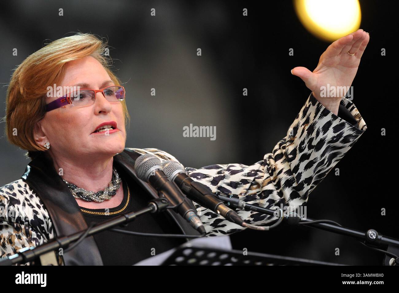 11 dicembre 2013 - città del Capo, Sud Africa - la Premier del Capo Occidentale, HELEN ZILLE, durante la città di città del Capo ha ospitato un concerto al Cape Town Stadium da 45000 posti chiamato "Nelson Mandela - Una vita celebrata". Nelson Mandela fu il primo presidente democraticamente eletto del Sudafrica. (Immagine di credito: © Roger Sedres/Images SA/ZUMAPRESS.com) Foto Stock