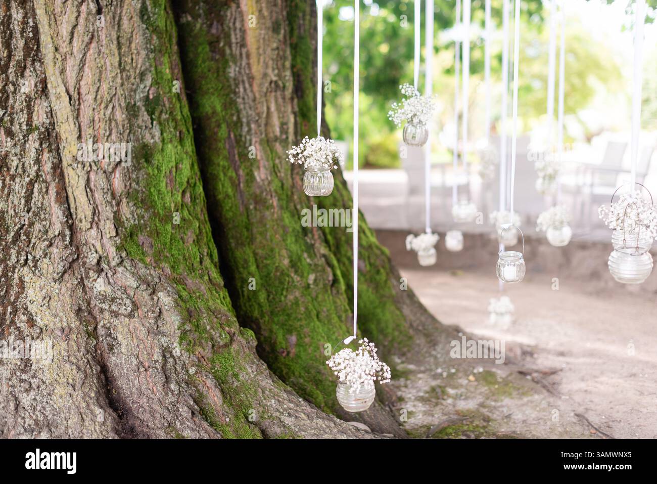 Piccoli vasi di vetro pieni di fiori pendono dai rami degli alberi, creando un'atmosfera affascinante per una festosa festa all'aperto. Foto Stock
