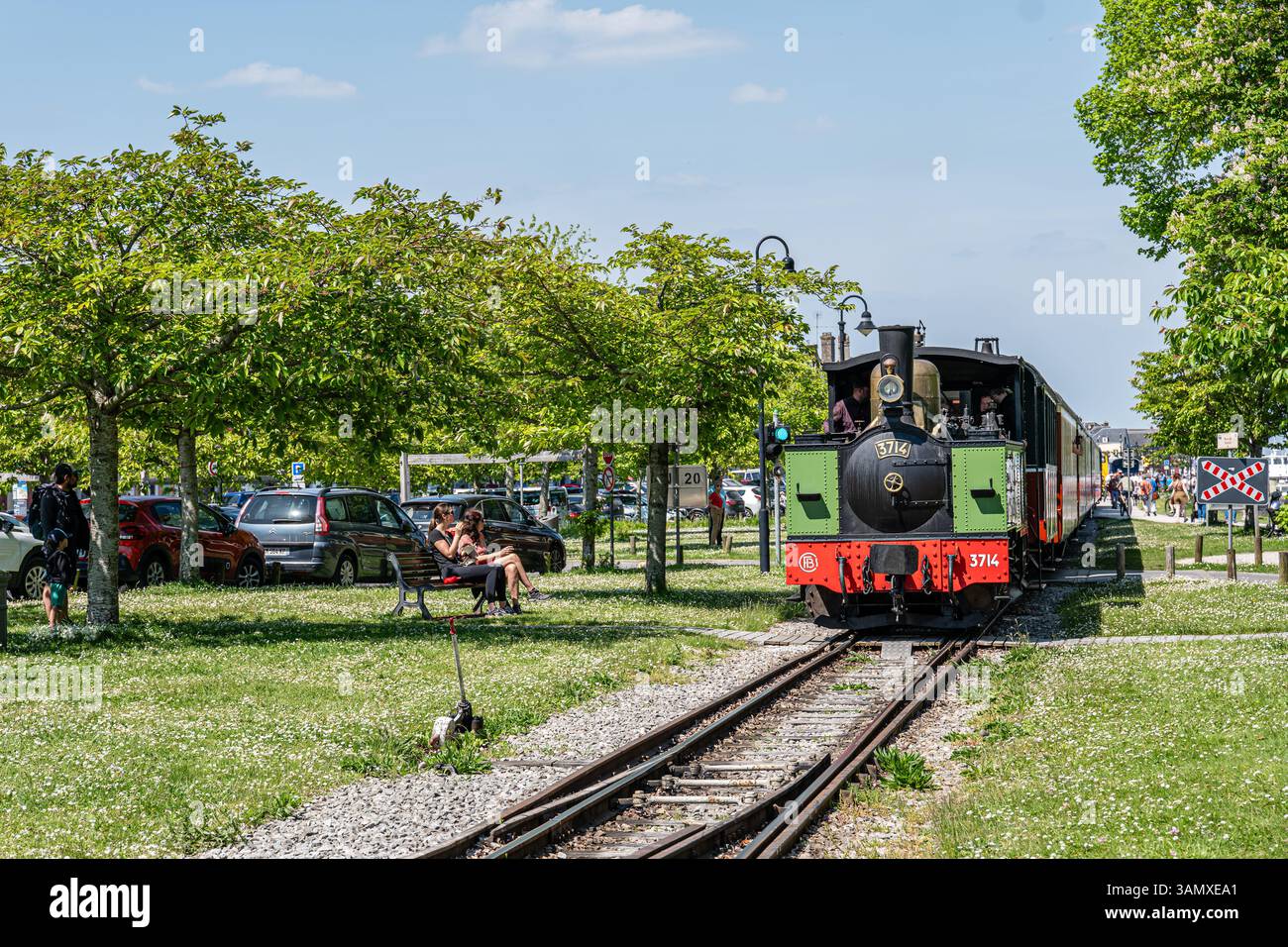 Saint-Valery-sur-somme, parco naturale regionale della baia della somme (Francia settentrionale): Treno a vapore, treno turistico dal Chemin de Fer de la Baie de Somm Foto Stock