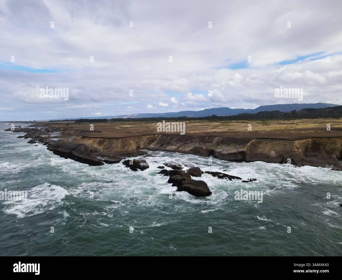 Veduta aerea della frastagliata costa del pacifico con scogliere spettacolari e onde che si infrangono, Point Arena, California, Stati Uniti. Foto Stock
