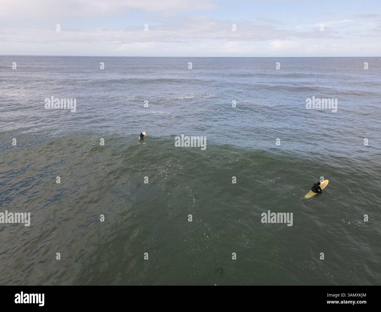 Veduta aerea di surfisti che cavalcano le onde in un bellissimo oceano, Point Arena, California, Stati Uniti. Foto Stock