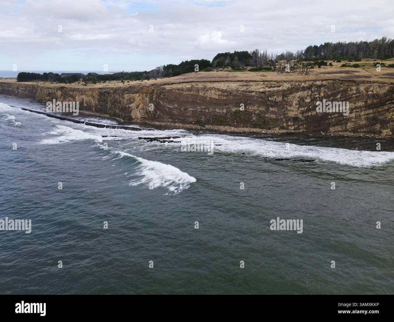 Vista aerea delle scogliere aspre e delle onde serene lungo la splendida costa del pacifico, Point Arena, California, Stati Uniti. Foto Stock