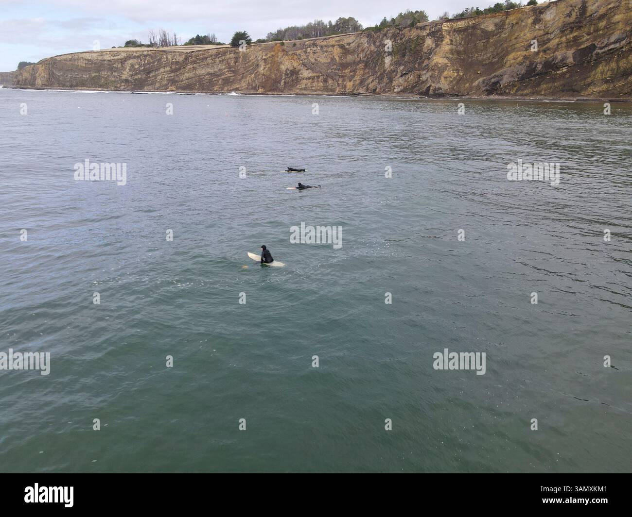 Vista aerea di surfisti che cavalcano le onde lungo la splendida costa con scogliere, Point Arena, California, Stati Uniti. Foto Stock