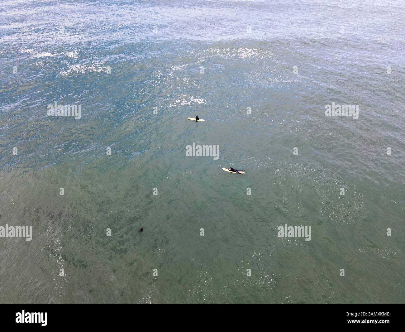 Vista aerea di surfisti che cavalcano le onde nell'oceano, Point Arena, California, Stati Uniti. Foto Stock