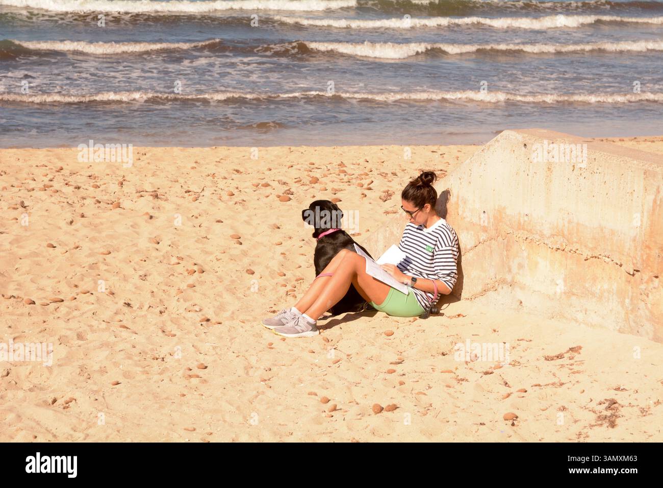 Una donna siede a leggere sulla spiaggia di Les Meravelles mentre il suo cucciolo labrador si affaccia sulla baia di Palma, isola di Maiorca, Spagna Foto Stock