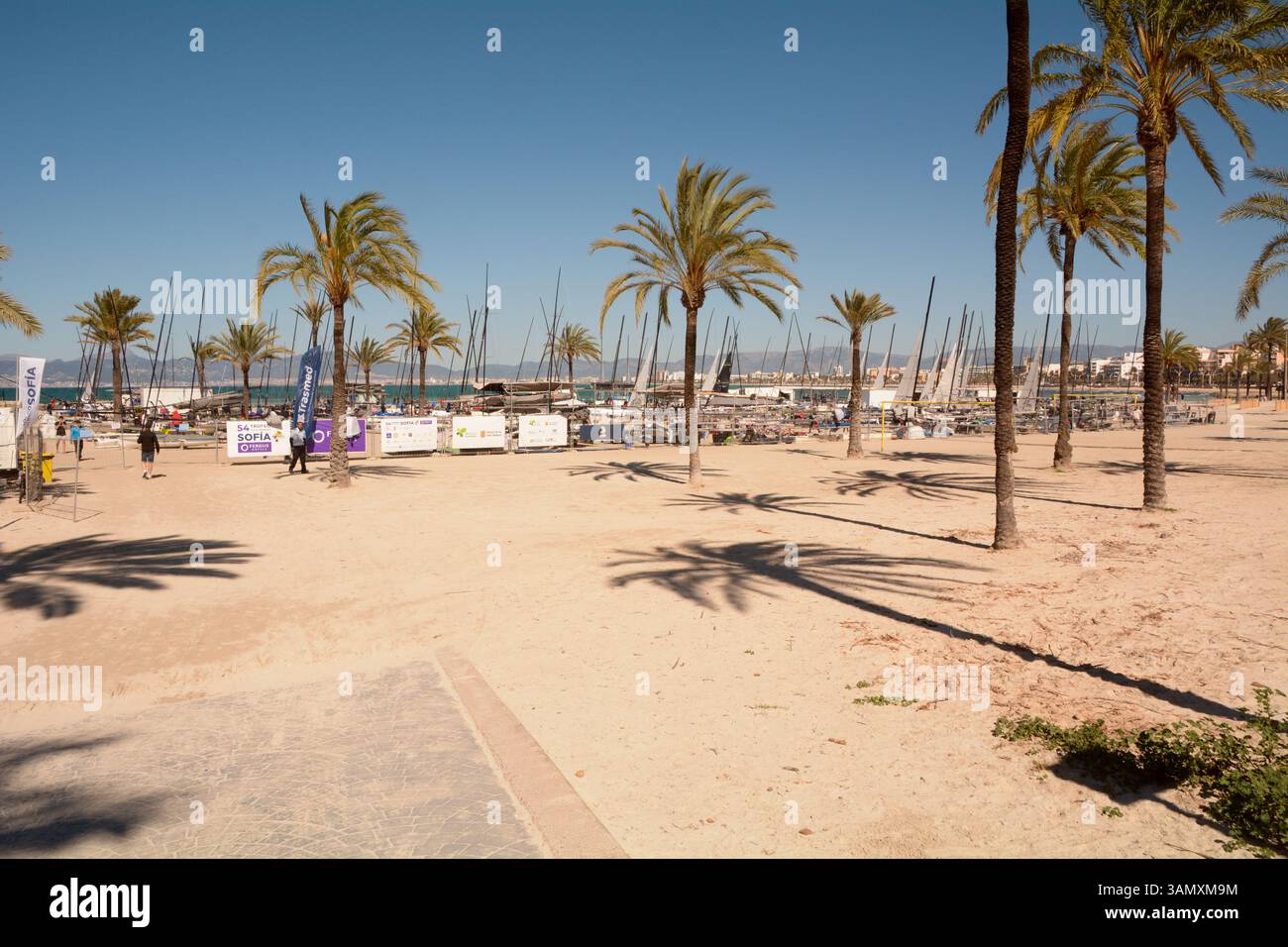 Barche a vela preparate per le gare al 54° Trofeo Princesa Sofía Mallorca in un recinto temporaneo sulla spiaggia di S'Arenal, Mallorca, Spagna Foto Stock