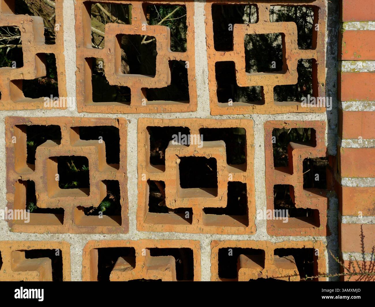 Contenitore in blocchi di mattoni. La struttura solida funge da schermo di confine e privacy, dando forma all'aspetto esterno. Foto Stock
