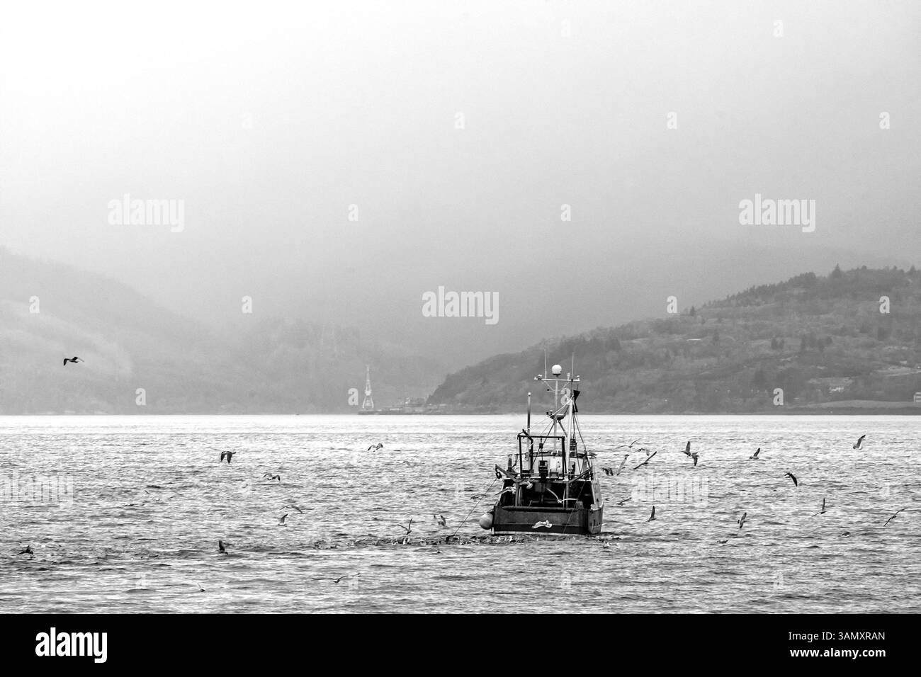 Un colpo bianco e nero nebbioso di una barca da pesca, con delle sciagole che girano intorno alla sua poppa, sul fiume Clyde in Scozia, vicino all'ingresso del Holy lo Foto Stock