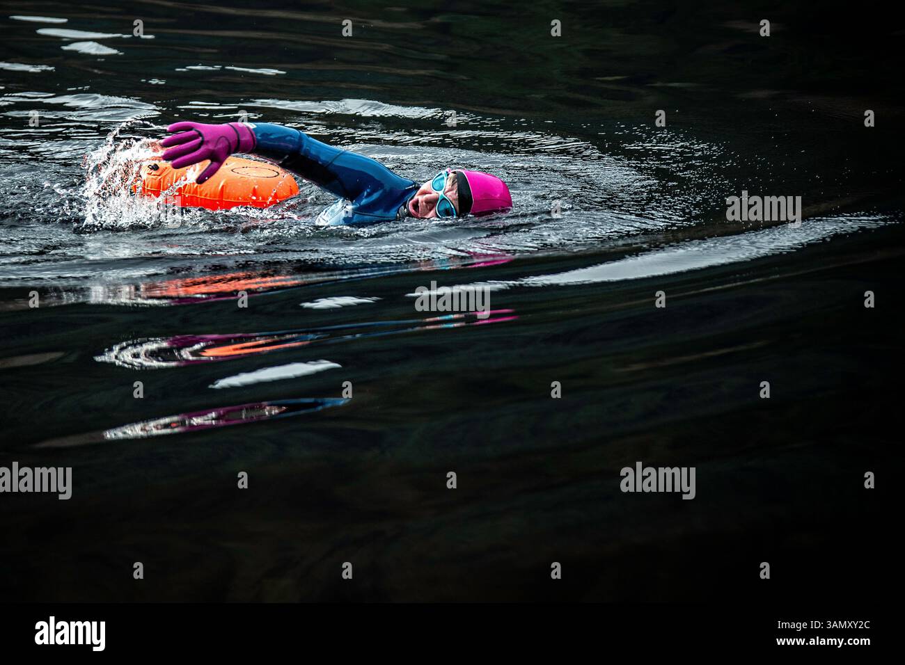 Vista mozzafiato della respirazione; nuotatore bagnato con guanti rosa brillante e casco nelle acque fredde e scure di un lago scozzese. Foto Stock