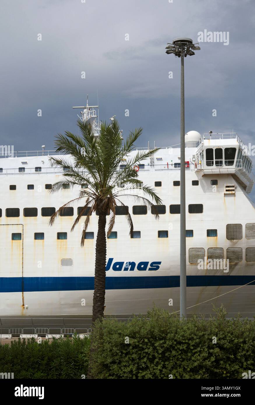 Traghetto Janas attraccato nel porto di Olbia, Sardegna, Italia Foto Stock