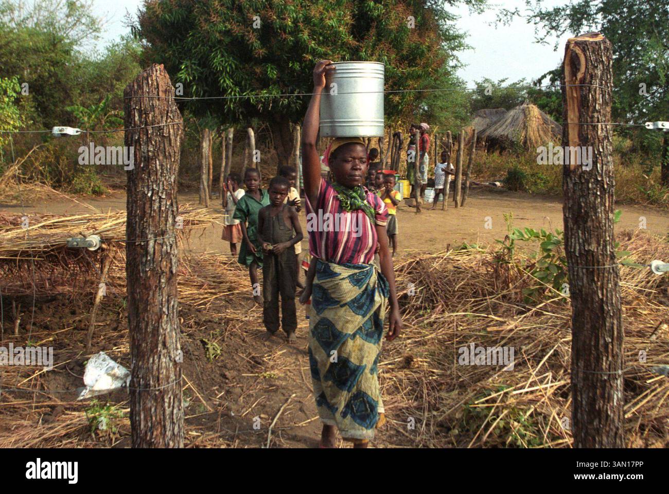 12 novembre 2002 - Stati Uniti - EMBARGO PER L'USO FINO A DOMENICA 24 NOVEMBRE --- KRT WORLD NEWS STORY SLUGGED: AFRICAHUNGER-ZAMBIA KRT FOTOGRAFIA DI EVELYN HOCKSTEIN/KRT (18 novembre) Una donna porta l'acqua in un giardino comunitario nel villaggio di Mulama, Zambia, racchiuso da una recinzione elettrica usata per tenere fuori elefanti e altri animali selvatici distruttivi. La recinzione è stata donata dalla Wildlife Conservation Society nel tentativo di aiutare gli agricoltori locali a sradicare il bracconaggio, sviluppare risorse naturali e utilizzare metodi agricoli sostenibili. (KRT) NC KD BL 2002 (Horiz) (lde) (immagine di credito: © PHOTOGNOSOURCE/mct/ZUMAPRESS.com) Foto Stock 12 novembre 2002 - Stati Uniti - EMBARGO PER L'USO FINO A DOMENICA 24 NOVEMBRE --- KRT WORLD NEWS STORY SLUGGED: AFRICAHUNGER-ZAMBIA KRT FOTOGRAFIA DI EVELYN HOCKSTEIN/KRT (18 novembre) Una donna porta l'acqua in un giardino comunitario nel villaggio di Mulama, Zambia, racchiuso da una recinzione elettrica usata per tenere fuori elefanti e altri animali selvatici distruttivi. La recinzione è stata donata dalla Wildlife Conservation Society nel tentativo di aiutare gli agricoltori locali a sradicare il bracconaggio, sviluppare risorse naturali e utilizzare metodi agricoli sostenibili. (KRT) NC KD BL 2002 (Horiz) (lde) (immagine di credito: © PHOTOGNOSOURCE/mct/ZUMAPRESS.com) Foto Stock