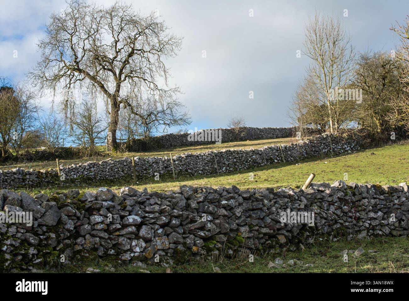 Mura a secco costruite in pietra calcarea vicino al villaggio di Bonsall, Derbyshire, Inghilterra Foto Stock