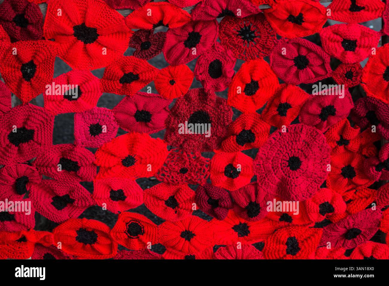 Una coperta di papaveri rossi di lana lavorati a maglia Foto Stock
