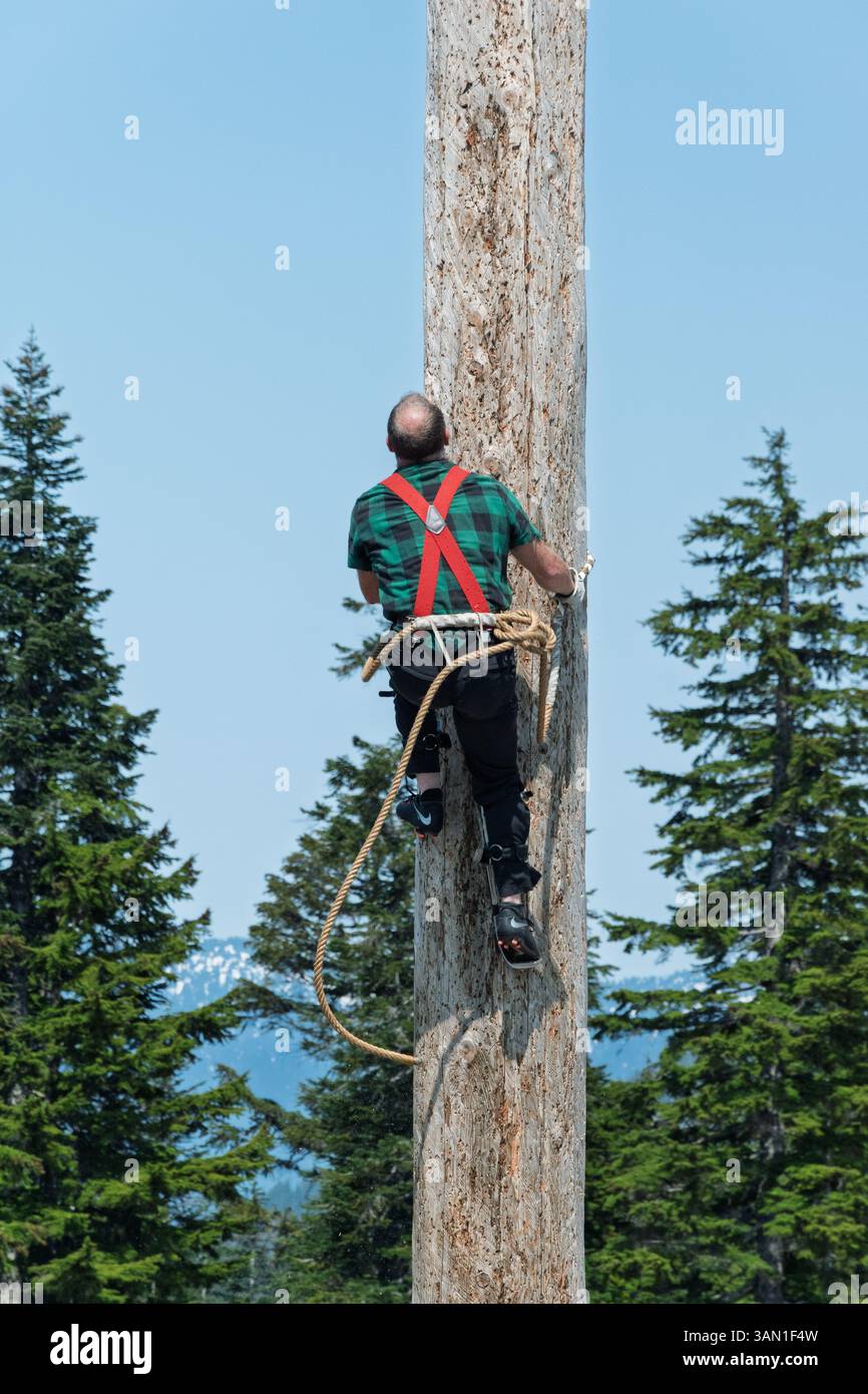Un concorrente partecipa a un evento di pole climbing, una classica dimostrazione di forza e agilità in una gara di boscaiolo. Foto Stock
