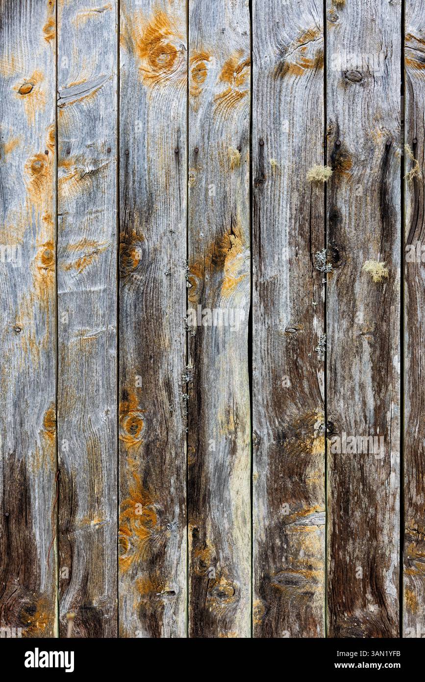Primo piano di una parete in legno invecchiato che mostra texture e segni unici causati dal tempo e dagli effetti della natura in un ambiente rustico. Foto Stock